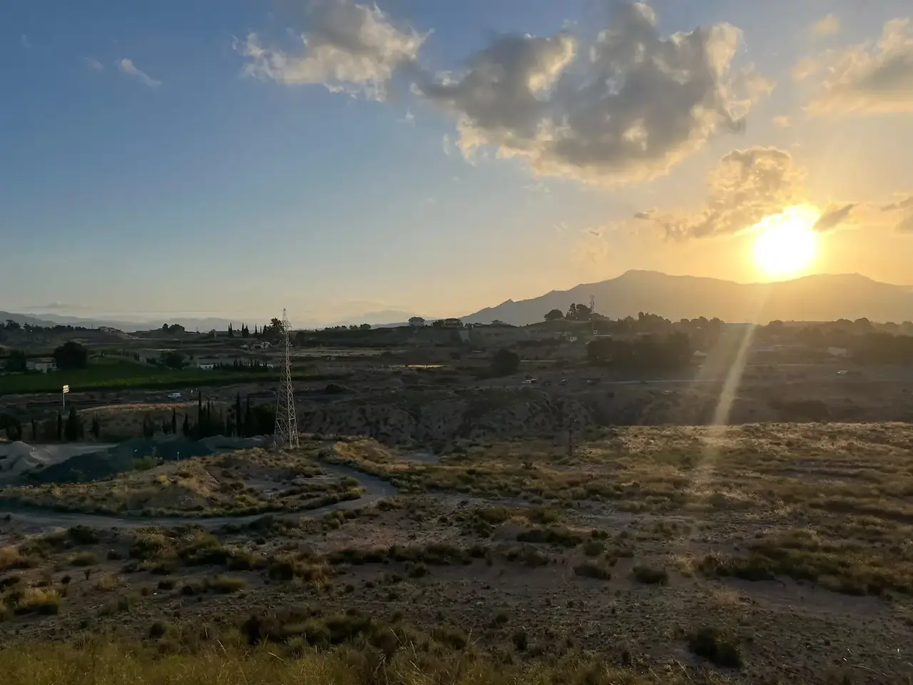 Estado actual del terreno y la vegetación. Inventario de flora y hábitats de UBLE 3 Abarán