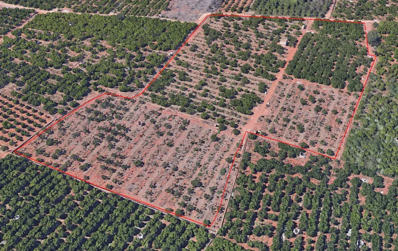 Lectura aérea de la implantación y su contexto. Planta solar MSP20 La Masada