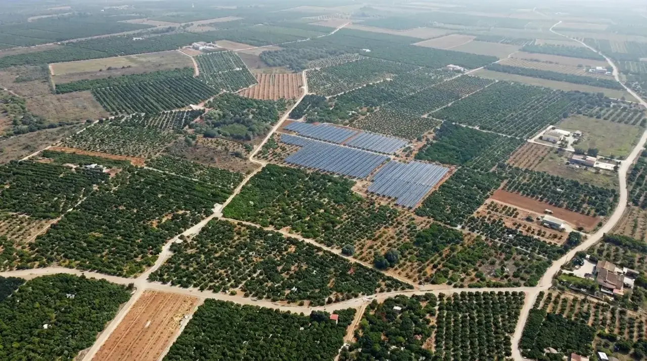 Composición gráfica de la propuesta paisajística. Planta solar MSP20 La Masada