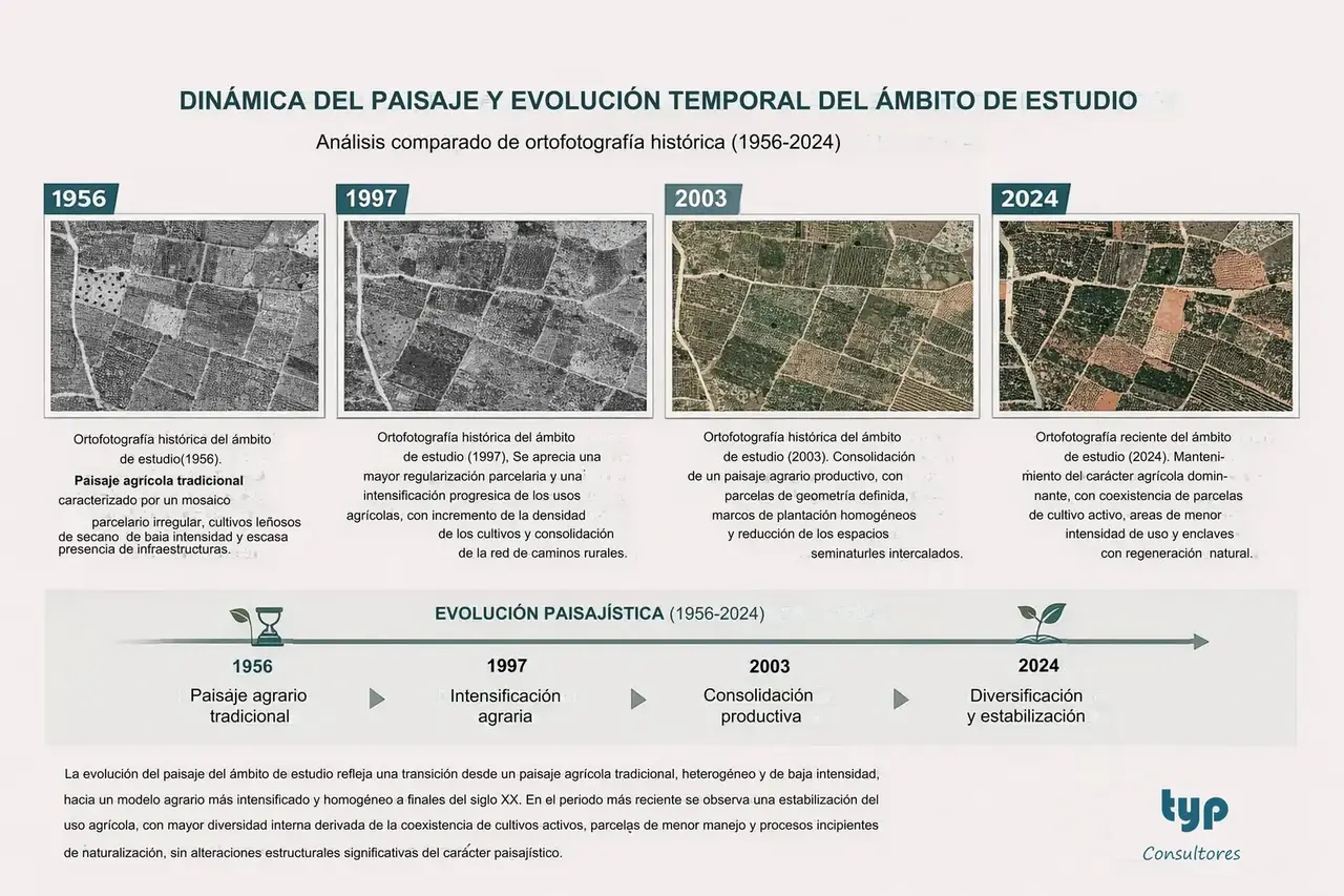 Síntesis visual del estudio de integración. Planta solar MSP20 La Masada