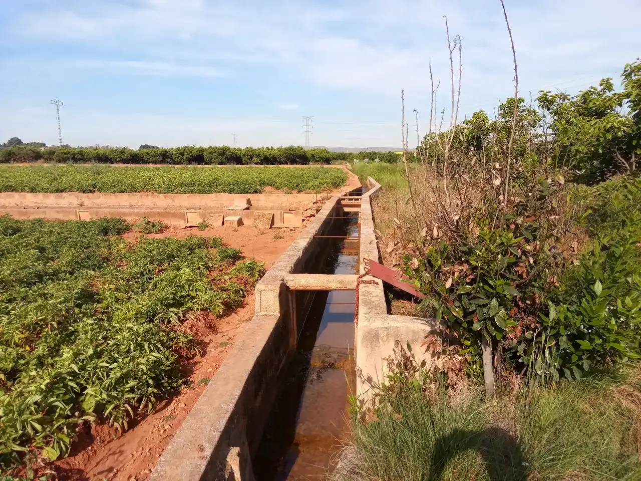 Reconocimiento de campo del entorno de la planta. Planta de almacenamiento energético de Silla