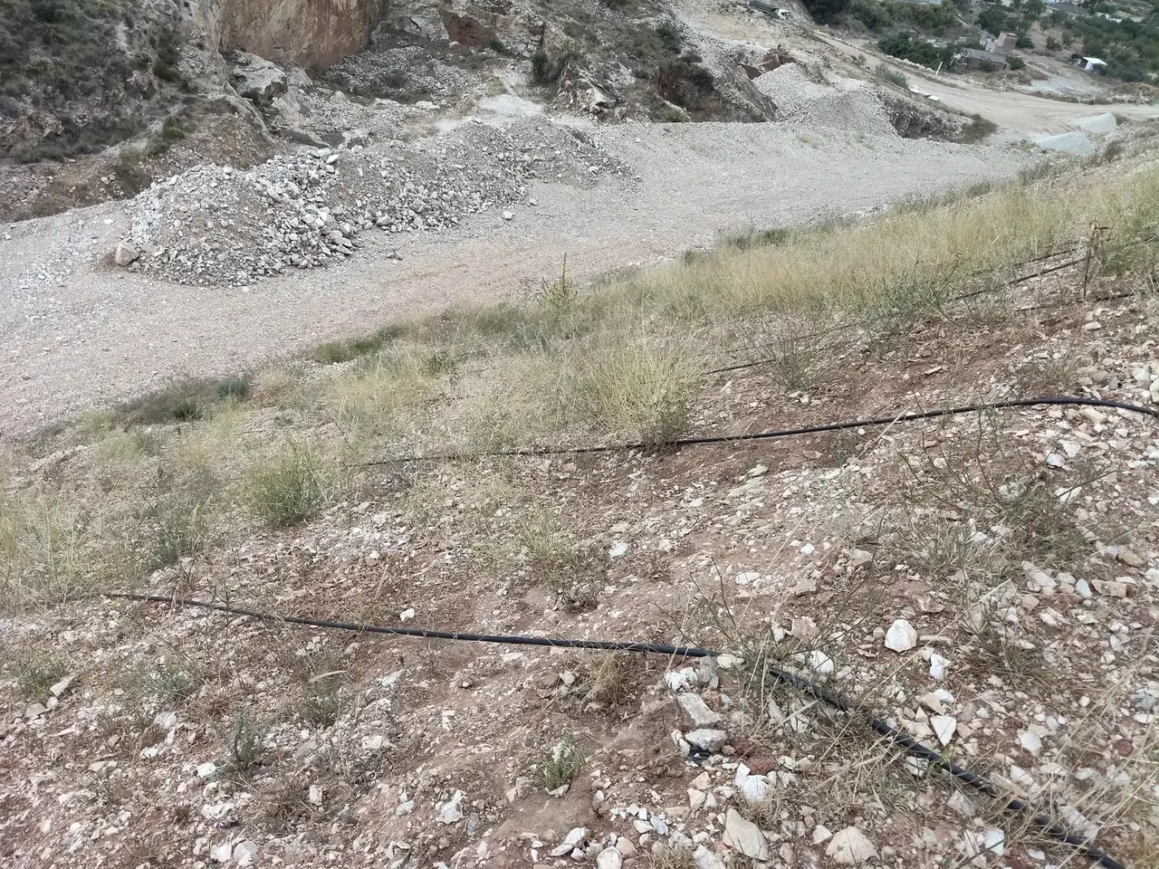Detalle de la evolución de las zonas restauradas. Seguimiento ambiental de la explotación El Tranco