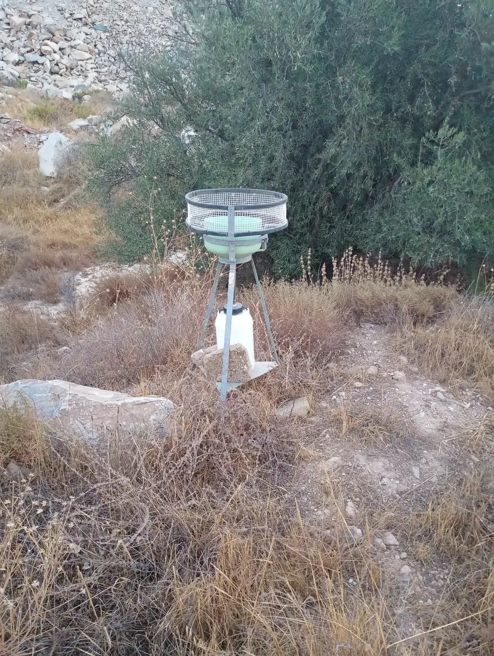 Visita de seguimiento ambiental de agosto de 2026. Seguimiento ambiental de la explotación El Tranco