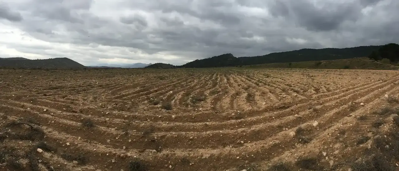 Reconocimiento de campo en el entorno de las plantas. Tres plantas solares de Villena