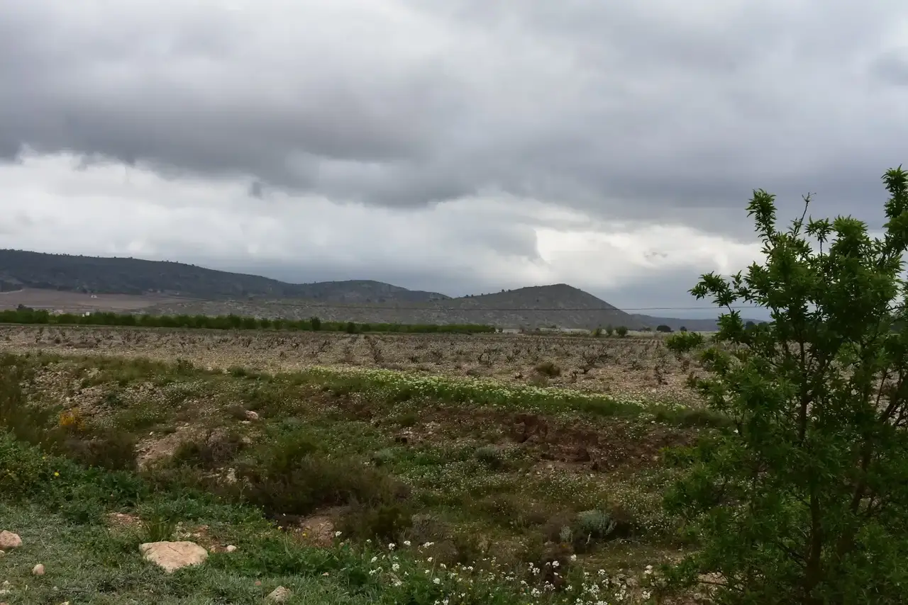 Paisaje agrícola y emplazamiento estudiado. Tres plantas solares de Villena