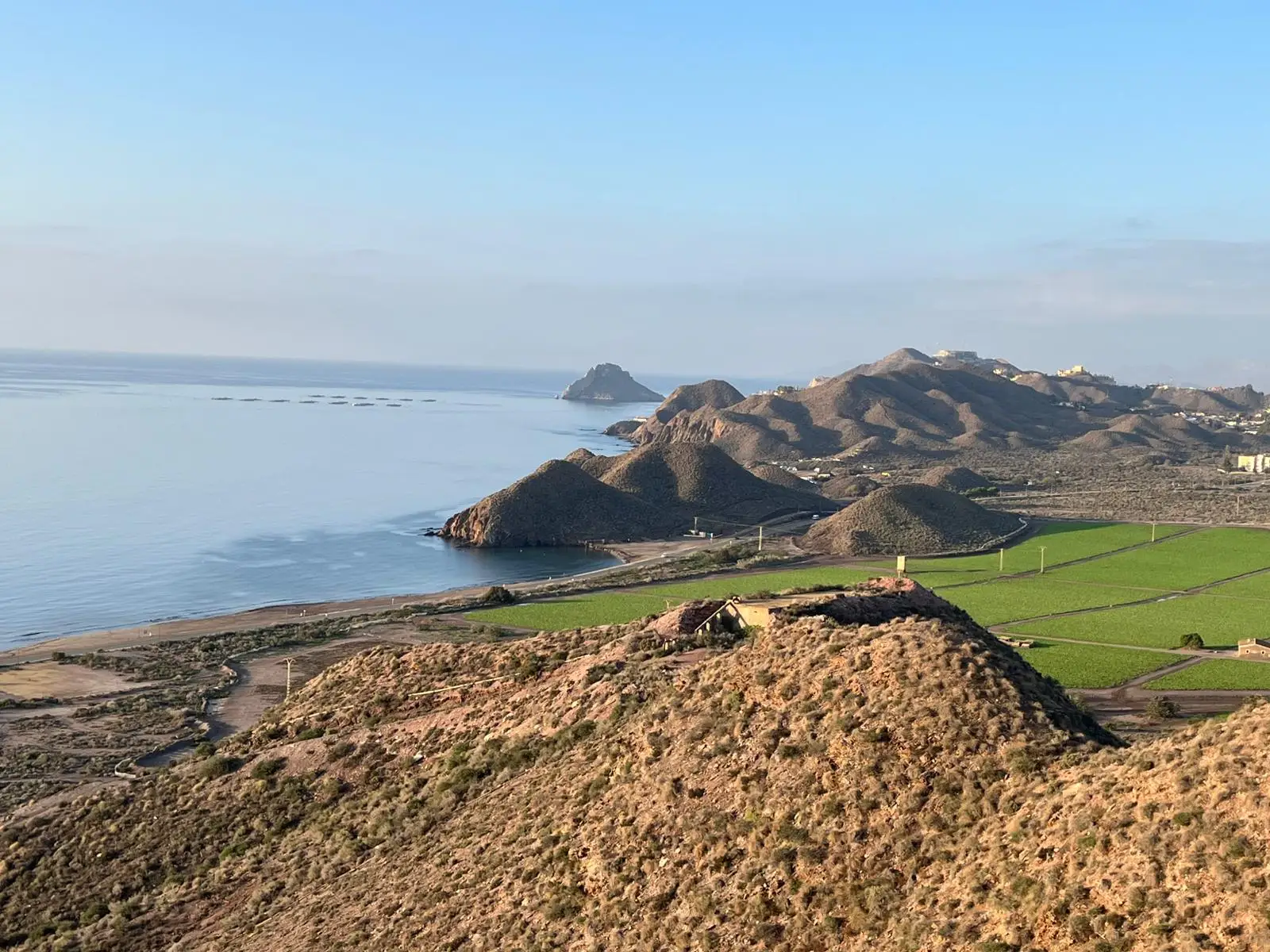 Paisaje y vegetación del ámbito de La Cola 2000 en Águilas