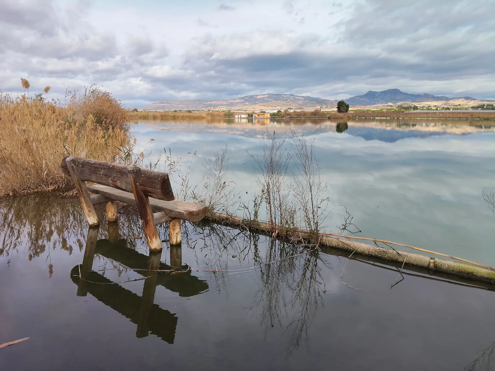 Entorno lagunar reconocido durante los inventarios ambientales de Molina Norte