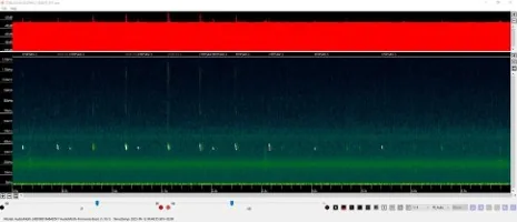 Espectrograma del estudio de quirópteros realizado en Carboneras